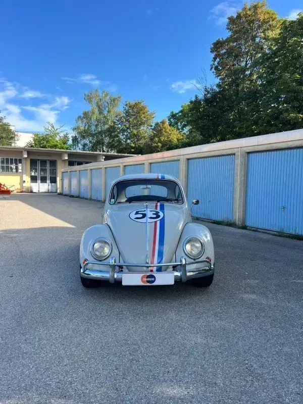 Fahrzeugbild 14