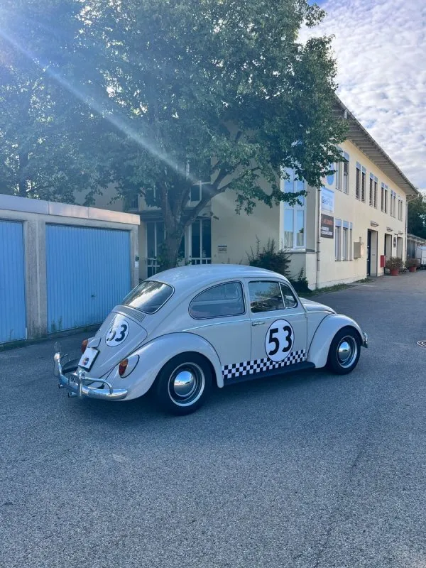 Fahrzeugbild 10